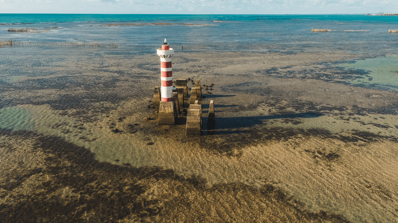 MACEIÓ: Conheça o pacote de viagem mais procurado pelos paulistas