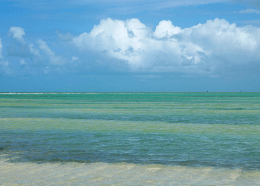 Os tons de azul e verde das águas de Maragogi. O passeio pode ser incluído no pacote de viagem para Maceió.